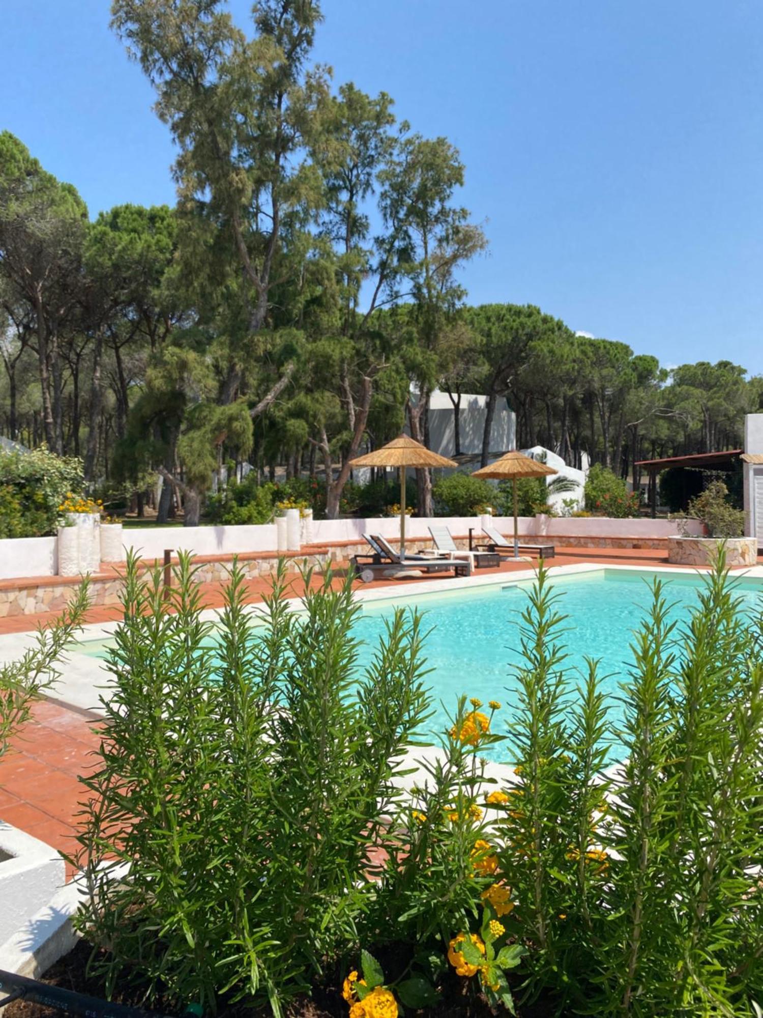 Hotel Mare Pineta 산타마르게리타디풀라 외부 사진